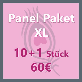 PANEL PAKET XXL: 10 + 1 Stück 